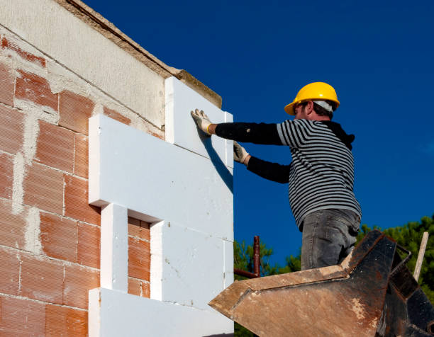 Best Eco-Friendly Insulation in Pinecrest, FL