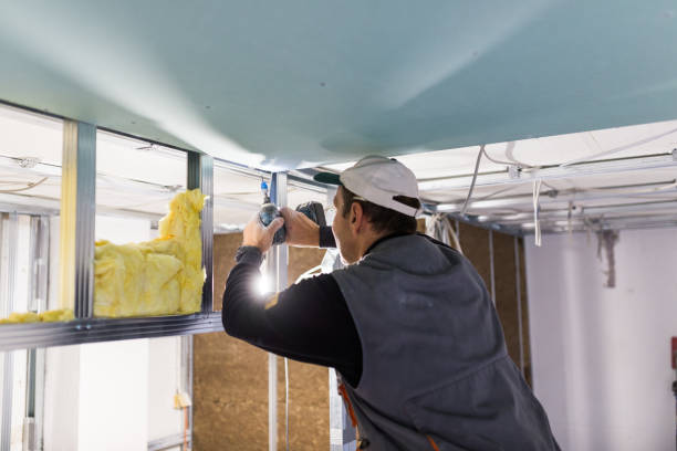 Best Fiberglass Insulation in Pinecrest, FL
