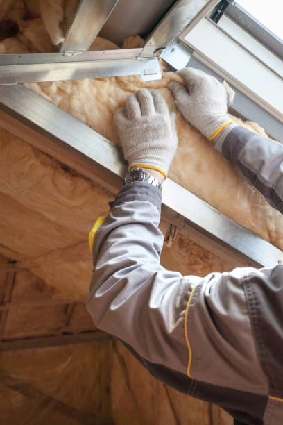 Types of Insulation We Offer in Pinecrest, FL