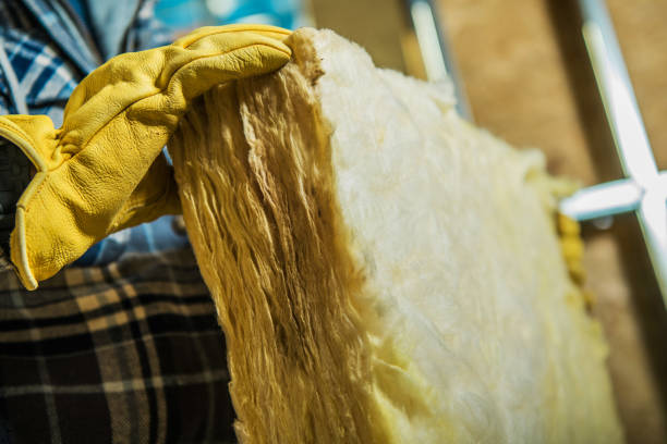 Best Energy Efficiency Insulation in Pinecrest, FL