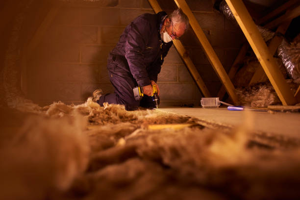 Best Eco-Friendly Insulation in Pinecrest, FL